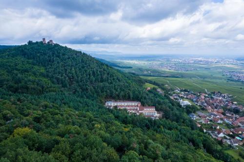 una vista aérea de una colina verde con una ciudad en Hotel SPA Husseren Collections - Proche Colmar - Eguisheim, en Eguisheim
