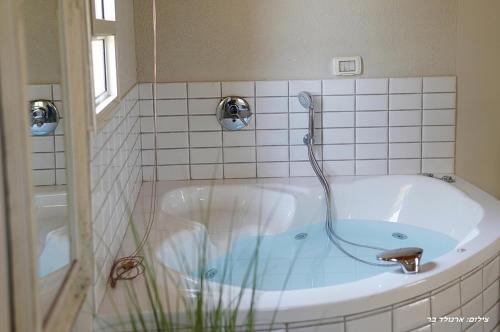 a bath tub with a shower in a bathroom at Nola in Had Nes