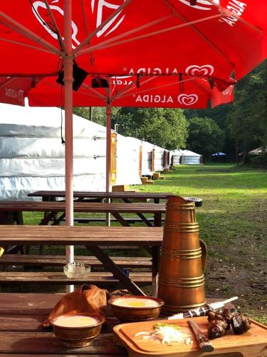 a picnic table with a red umbrella and plates of food at Mongolian Yurt Camp in Český Šternberk