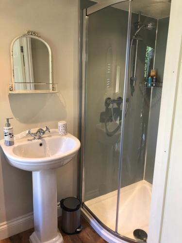 a bathroom with a sink and a shower at Pretty self-contained garden room in Sheringham