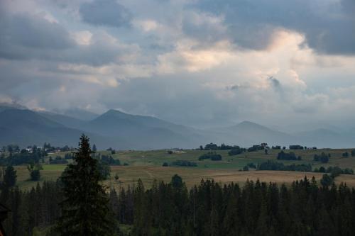 a view of a field with trees and mountains at Tatrzańskie Spanie pokoje gościnne in Poronin