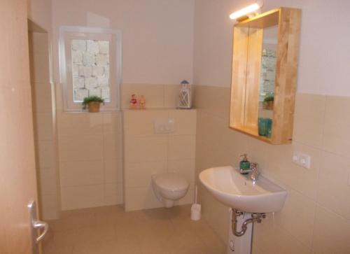 a bathroom with a toilet and a sink and a mirror at Schwalbennest - 93355 in Marlow