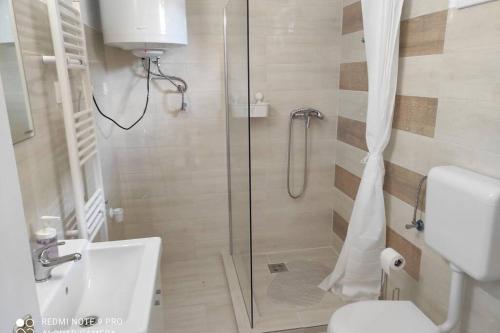 łazienka z prysznicem i toaletą w obiekcie Süni apartman w mieście Ordacsehi