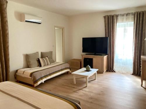 TV a/nebo společenská místnost v ubytování Hotel la Caravelle