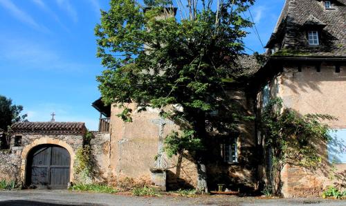an old stone building with a door and a tree at gite de La Carrière in Saint-Julien-de-Piganiol