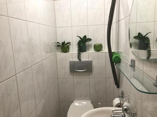 ein Badezimmer mit WC, Waschbecken und Topfpflanzen in der Unterkunft Blue House Mosel in Piesport
