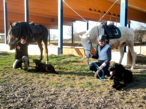 two people and two dogs and a horse and two horses at Wilja in Friedenstal