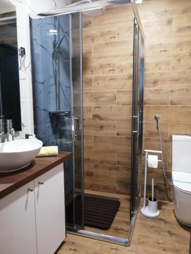a bathroom with a shower and a sink at Apartments NANA in Golubac