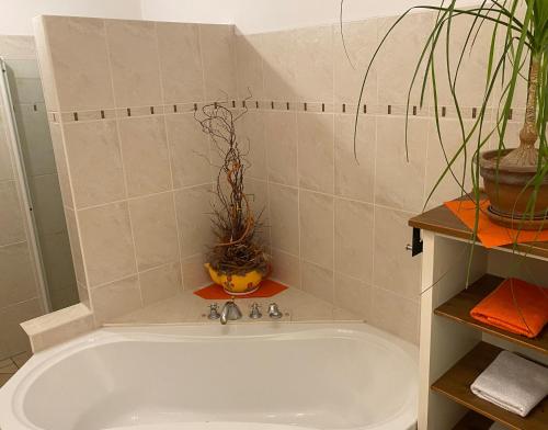 a bathroom with a bath tub with plants in it at Haus Grüne Idylle in Bannewitz