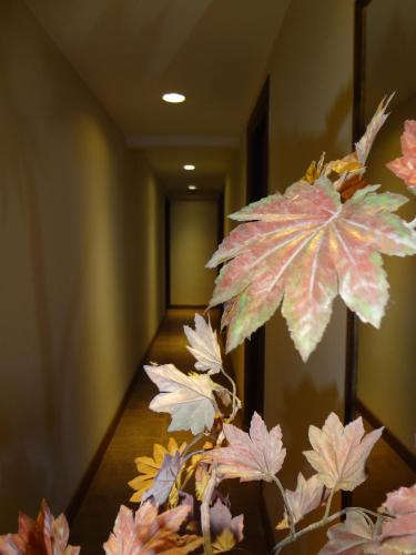 a plant in a room with a hallway at Hotel Select in Mar del Plata