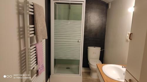 ein kleines Bad mit WC und Waschbecken in der Unterkunft Petit coin de Paradis in Fontaine-lès-Luxeuil