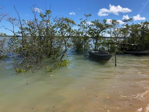 a couple of boats in the water next to trees at Chalezinho Super Equipado! 50m da água - Mar Doce! in Caravellas