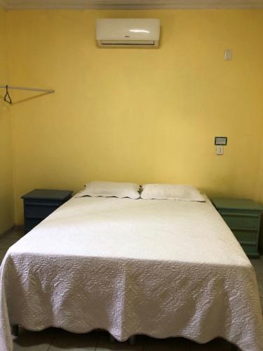 a bedroom with a large bed with a white blanket at Oncotô Palmas Hostel in Palmas