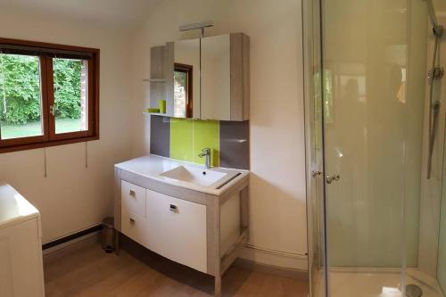 La salle de bains est pourvue d'un lavabo et d'une douche. dans l'établissement Gîte du bocage, à Buysscheure