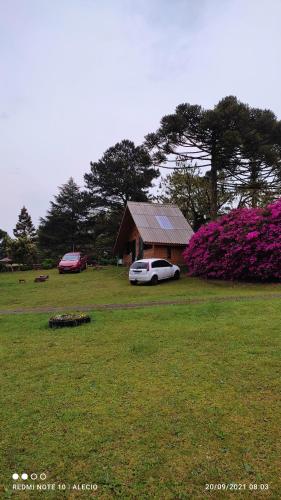 Taman di luar cabanas luar