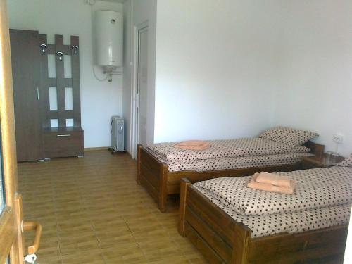 Un pat sau paturi într-o cameră la La Raducu