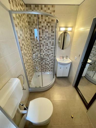 a bathroom with a shower and a toilet and a sink at Pensiunea 7 Brazi II in Poiana Mărului