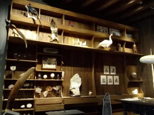 Φωτογραφία από το άλμπουμ του Hostal Azul Puebla στην Πουέμπλα