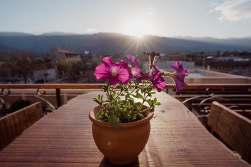 a potted plant on a table with the sun in the background at Luna de Cafayate Hotel Boutique in Cafayate
