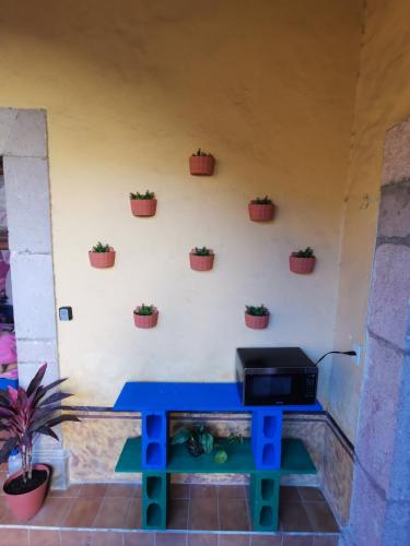 a blue table with potted plants on a wall at Lele Room Downtown Querétaro in Querétaro