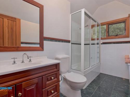 a bathroom with a toilet and a shower and a sink at Granite Peaks 1 in Thredbo