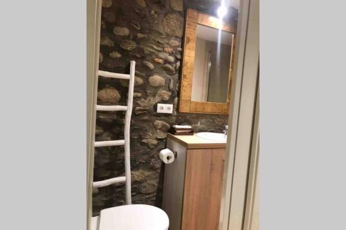 a stone bathroom with a toilet and a sink at Puigcerdá Centro. Acogedor apartament en el pueblo in Puigcerdà