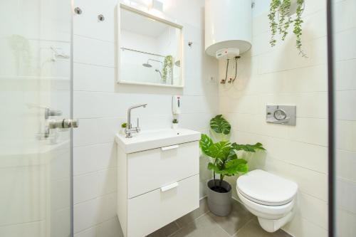 un bagno bianco con un water e un lavandino di Classy Comfort - Chic Studio on Regina Elisabeta a Bucarest