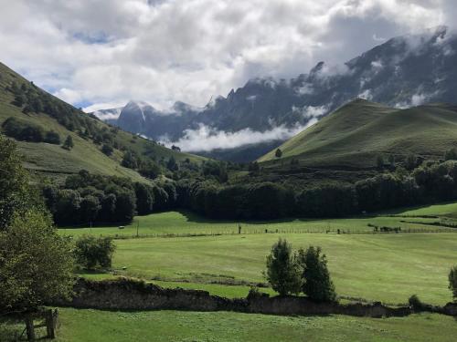a green field with trees and mountains in the background at L 'Air d'Aspe in Accous
