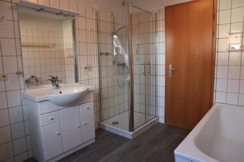a bathroom with a sink and a shower at Kranichrast 1 Whg 4 in Zingst