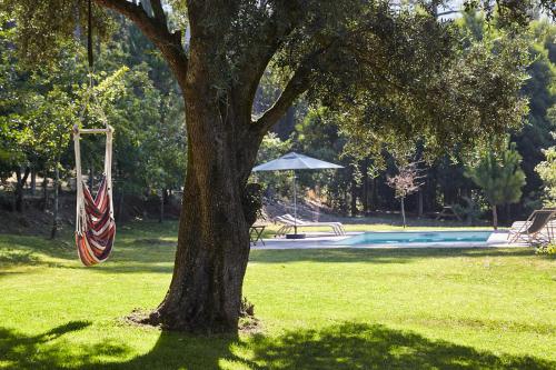 an american flag hanging from a tree next to a pool at Casa da Oliveira in Caminha