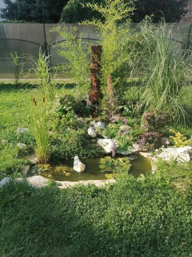 a garden with a pond in the grass at Apartman Garden House in Voždovac