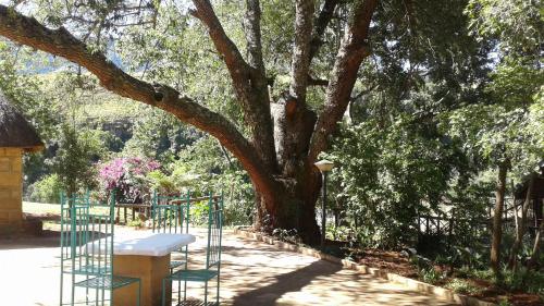 a bench next to a tree in a park at Ledges Retreat in Bergville