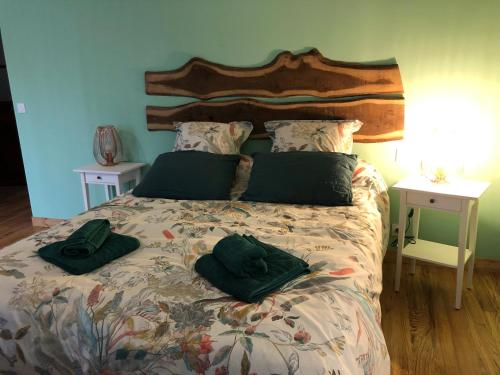 a bed with two green pillows on top of it at L 'Air d'Aspe in Accous