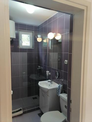 a bathroom with a toilet and a sink and a mirror at Apartman Garden House in Voždovac