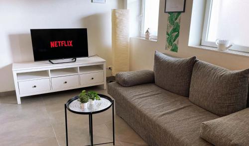 a living room with a couch and a tv at Work & Stay Apartments in Euskirchen in Euskirchen