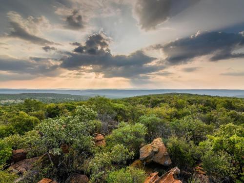 a view from the top of a hill with trees at Lindani Game and Lodges in Vaalwater