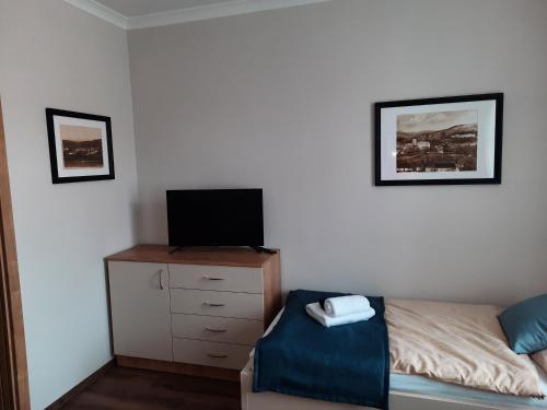 a bedroom with a bed and a tv on a dresser at Penzion Vila Winter in Koryčany