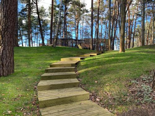 a wooden path in a park with trees at eleven in Jūrmala