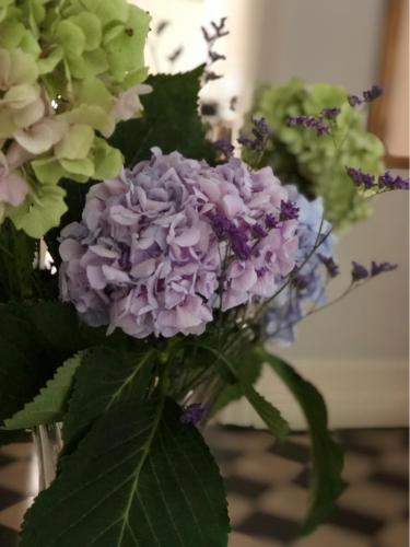 a vase filled with purple flowers on a table at La Villa Bocage in Bordeaux