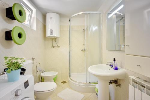 ein Bad mit einer Dusche, einem WC und einem Waschbecken in der Unterkunft Villa Helena in Banjole