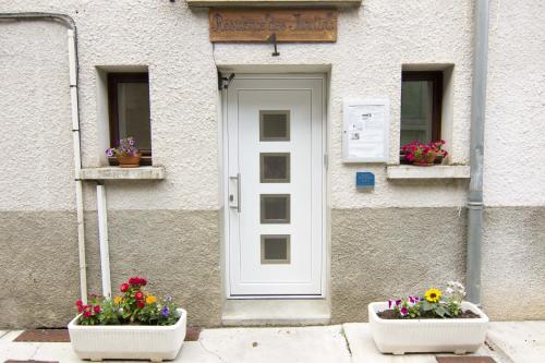 two pots of flowers in front of a door at Résidence des Jardins, wifi in Luchon