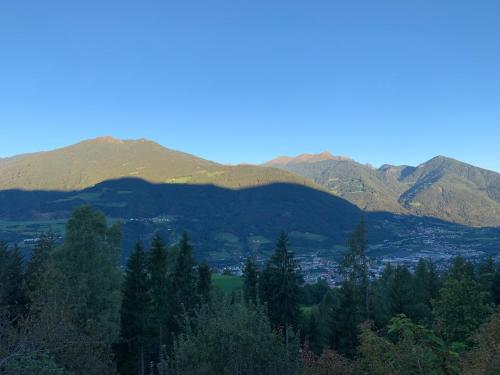 a view of a mountain range with trees and a city at Haus Lasaun in Bressanone