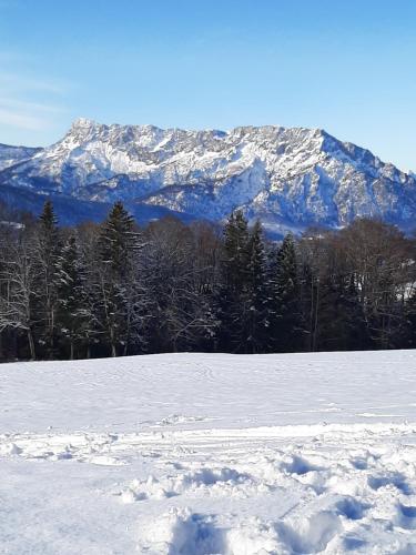 a snow covered mountain in the distance with trees in the foreground at Ferienwohnung Manuela in Adnet