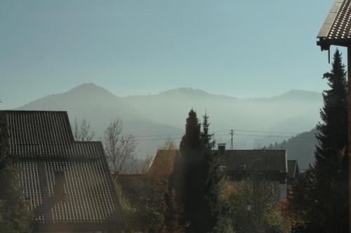 a view of a city with mountains in the distance at Neureuth in Bad Wiessee