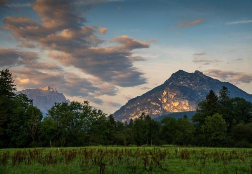 a mountain in the distance with a field and trees at Das Bergquartier - Ferienwohnung Krottenkopf in Oberau