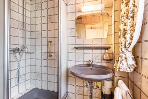 a bathroom with a sink and a shower at Am Wehrastrand App 2 in Todtmoos