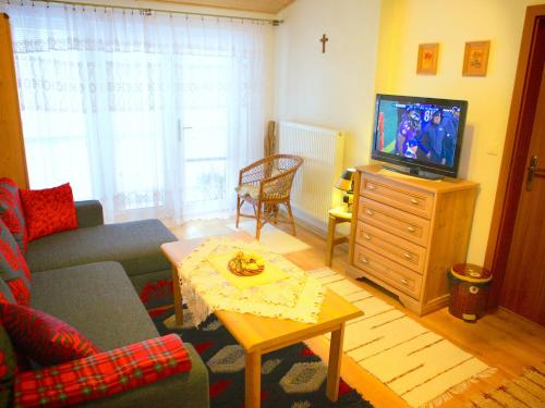 a living room with a couch and a tv at Apartmány Zuberec - Julius a Agnes in Zuberec