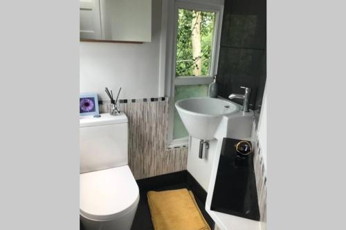 a bathroom with a white toilet and a sink at The Shed . A cosy, peaceful, 96% recycled, chalet. in Swansea