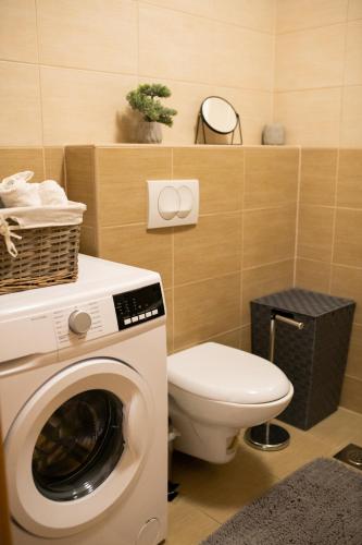 a bathroom with a washing machine and a toilet at Apartman Martes in Slavonski Brod