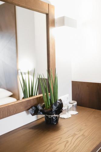 a plant sitting on a table in front of a mirror at Sofia Hotel in Rivne